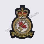 E Flammis atque Ruins Salus Royal Air Force Fire Fighting and Rescue Service Squadron Badges