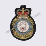 Omnia Passim Escadrille Squadron Badge