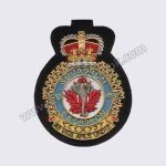 Ad Vigil Amus Undis Escadron Squadron Badge