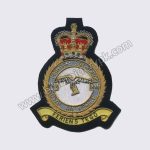 Feriens Tego Royal Air Force Fighter Squadron Badges